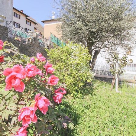 All'Ancora Acquaseria Dış mekan fotoğraf