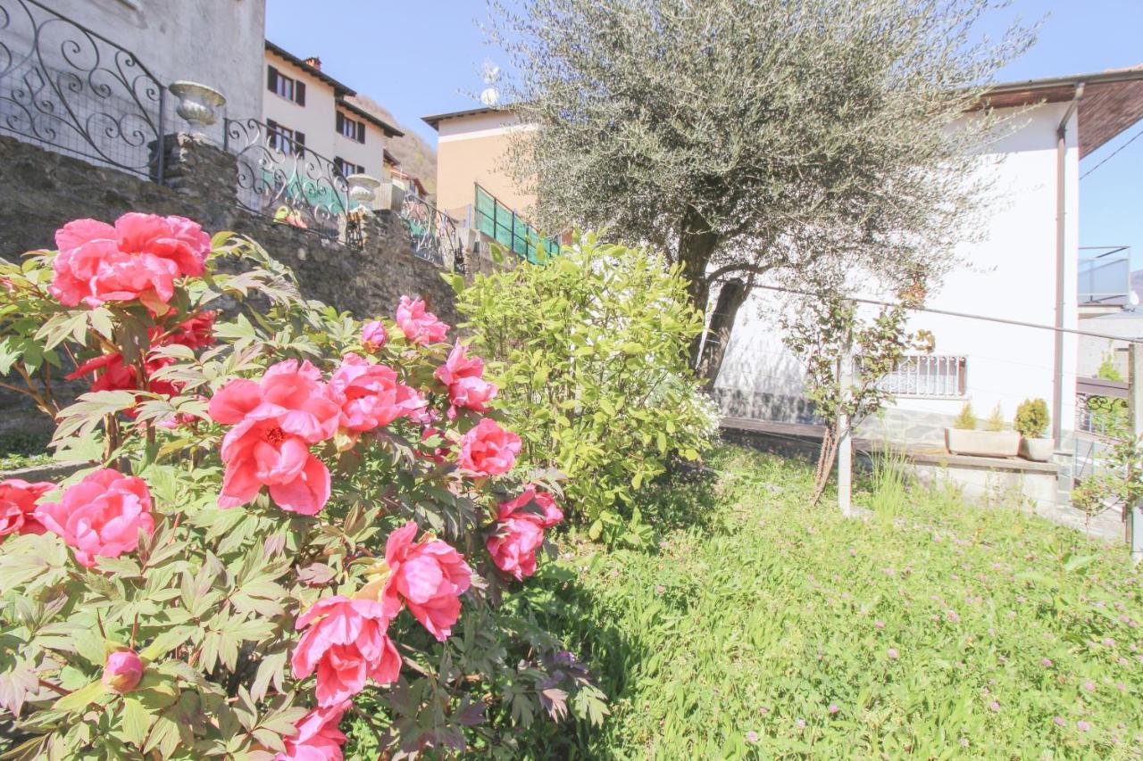 All'Ancora Acquaseria Dış mekan fotoğraf